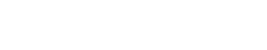 MT SERVICES